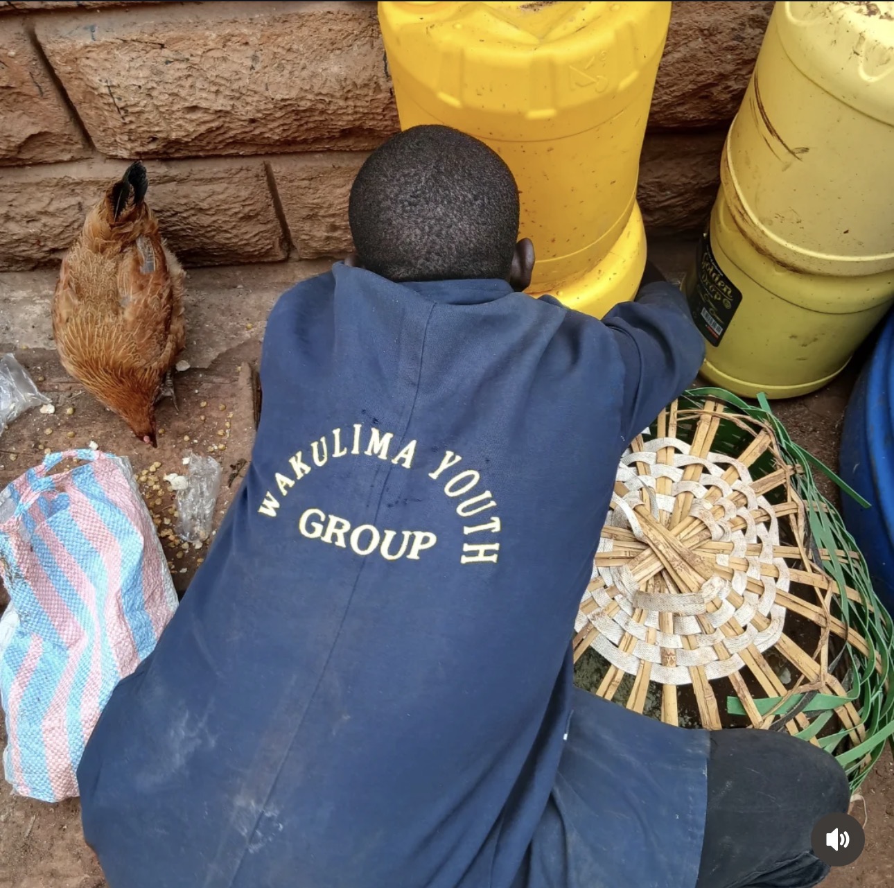 The Wakulima Youth Group looks after the chickens and clears away the muck.